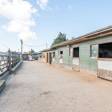 "Pony Pod" At Nelson Park Riding Centre Ltd - Glamping Pod Also Available The Fox Pod And Trailor Escapes- Birchington, Ramsgate, Broadstairs Margate Hotel Westgate-on-Sea Exterior photo